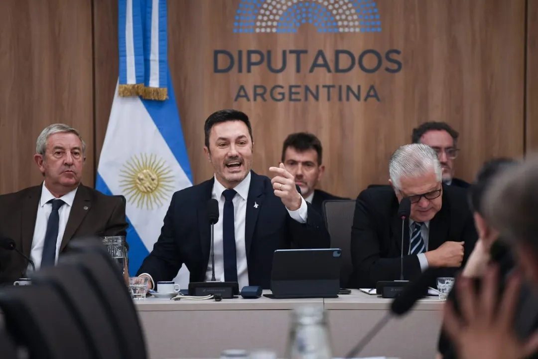 Luis Petri hizo su exposición en la Cámara de Diputados. FOTO: