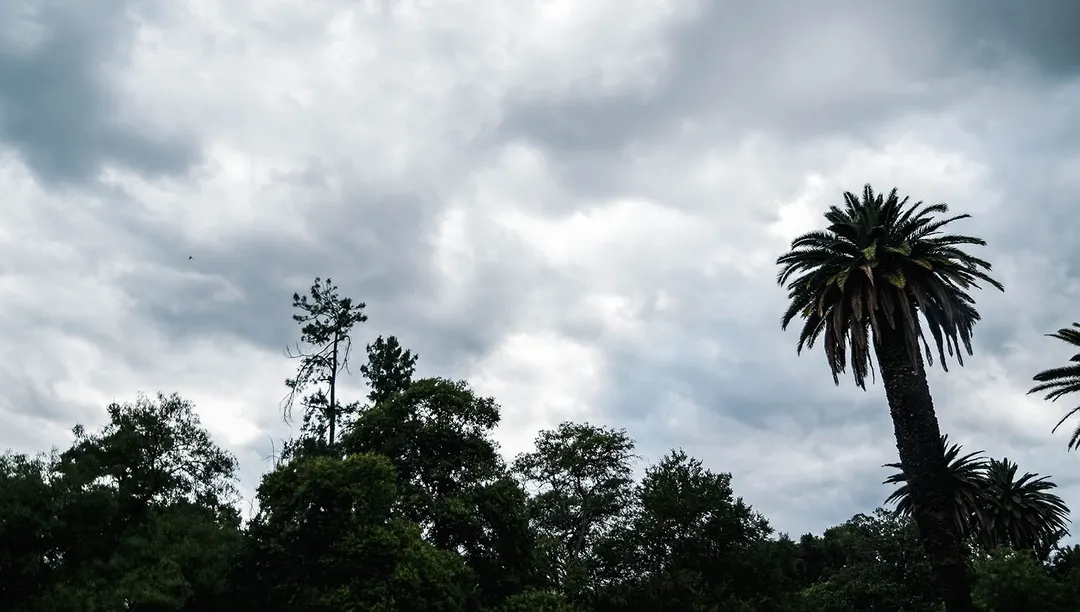 Para este lunes se espera en Mendoza una jornada parcialmente nublada y con descenso de la temperatura.
