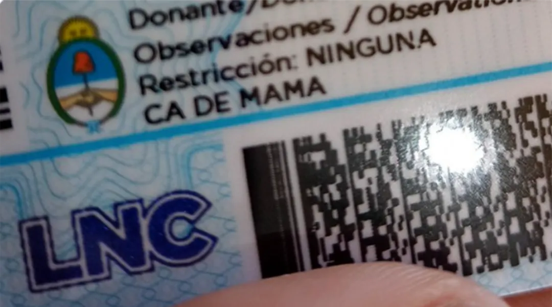 Verano 2026: ¿Qué documentos son obligatorios para circular por las rutas argentinas?