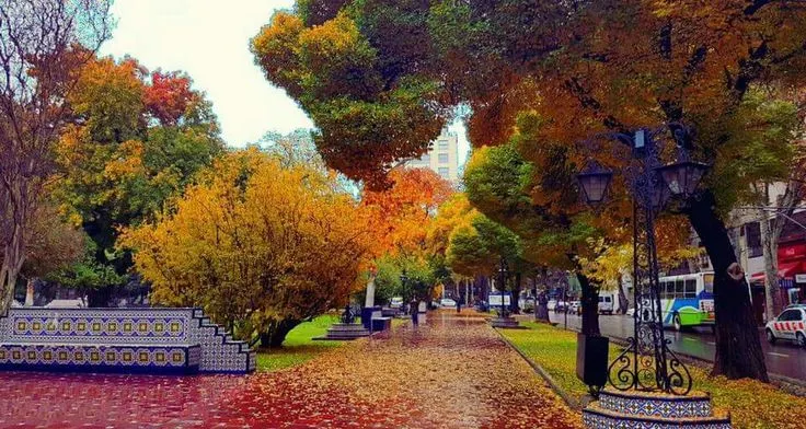 El otoño, una de las estaciones má lindas para disfrutar de Mendoza, en el oeste de Argentina.