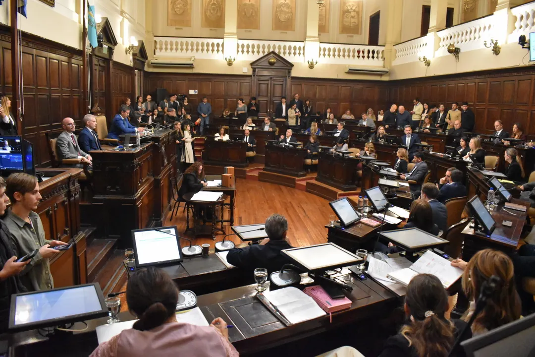 El proyecto fue presentado en la Cámara de Diputados.  