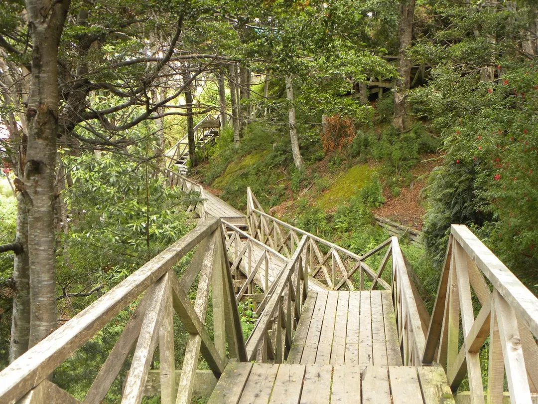 Caleta Tortel, ideal para una escapada al sur de Chile.