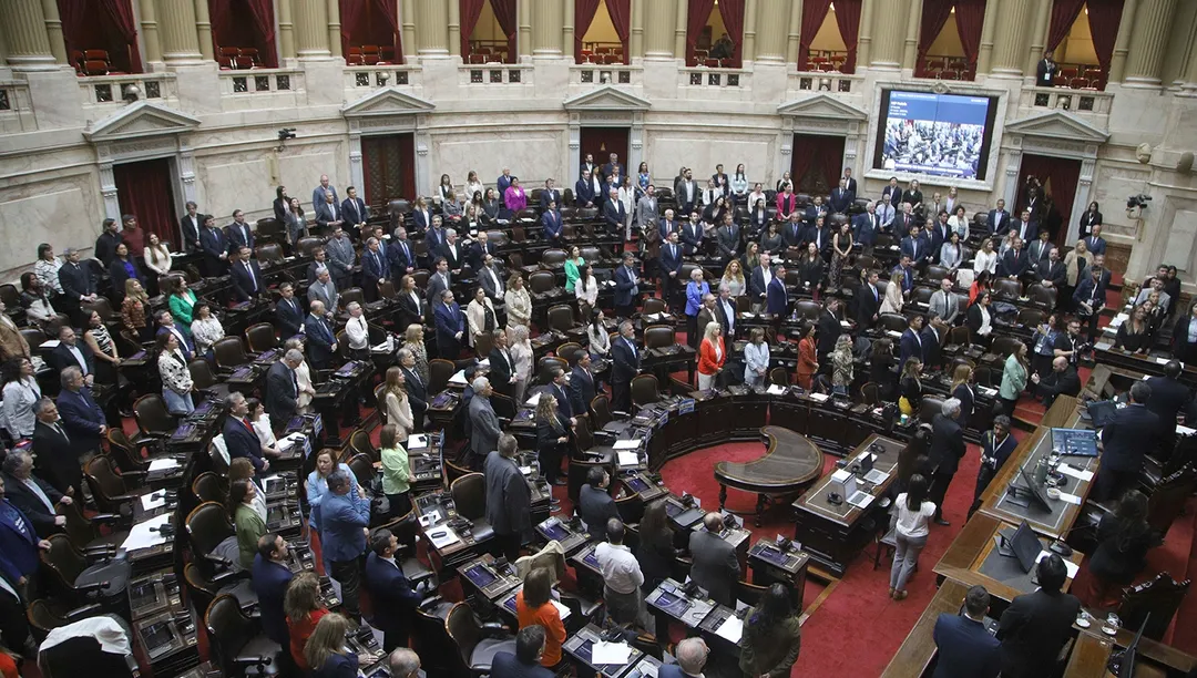 Diputados tratará el veto en discapacidad el próximo miércoles 20 de agosto.
