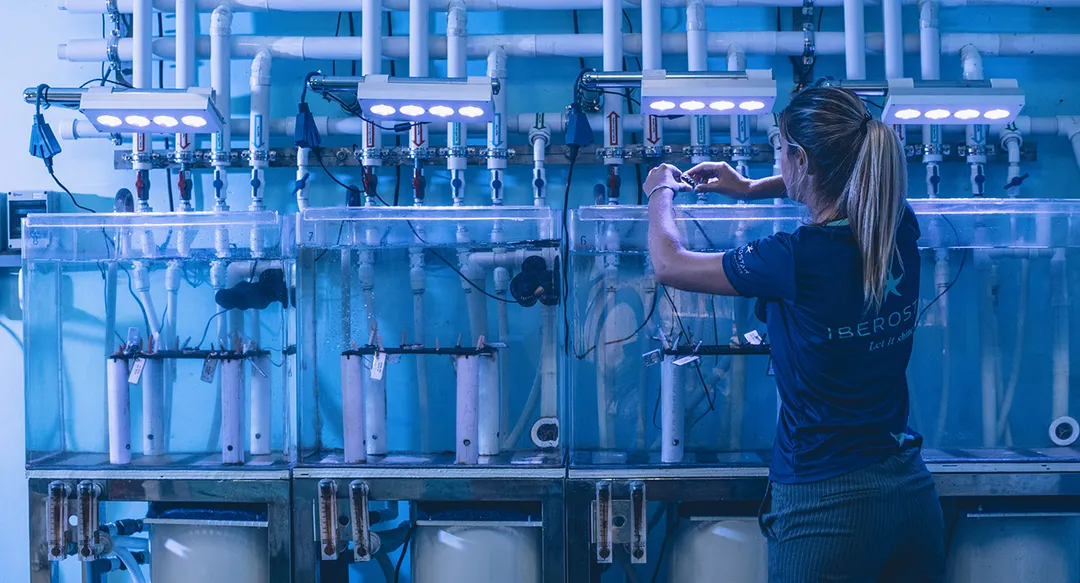 Wave of Change, uno de los pilares fundamentales de Iberostar.