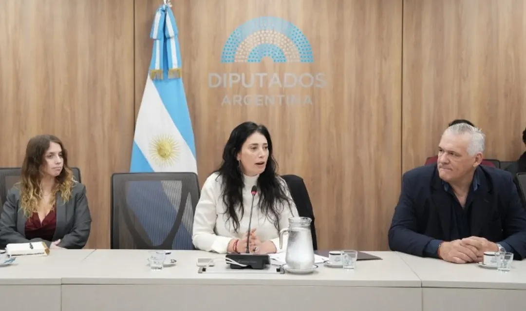 Sabrina Ajmechet en la Comisión de Derechos Humanos de Diputados. Foto: Honorable Cámara de Diputados