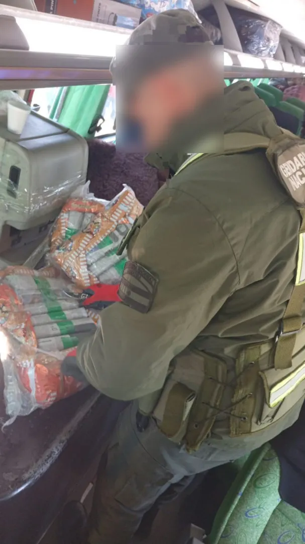 En la requisa se encontraron 133 paquetes con hojas de coca en estado natural. Foto: Gendarmería Nacional.