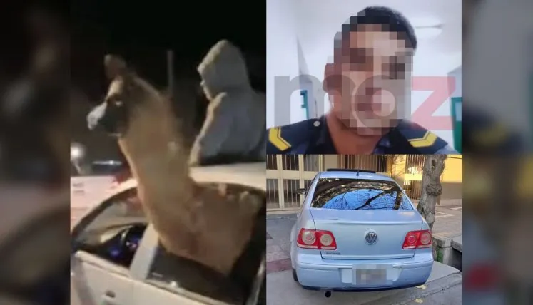 La imagen de una llama durante los festejos del Mundial reabrió el debate sobre el mascotismo, una práctica que pone en riesgo a miles de animales silvestres. (Se pixela el rostro porque aún no fue imputado por ningún delito).
