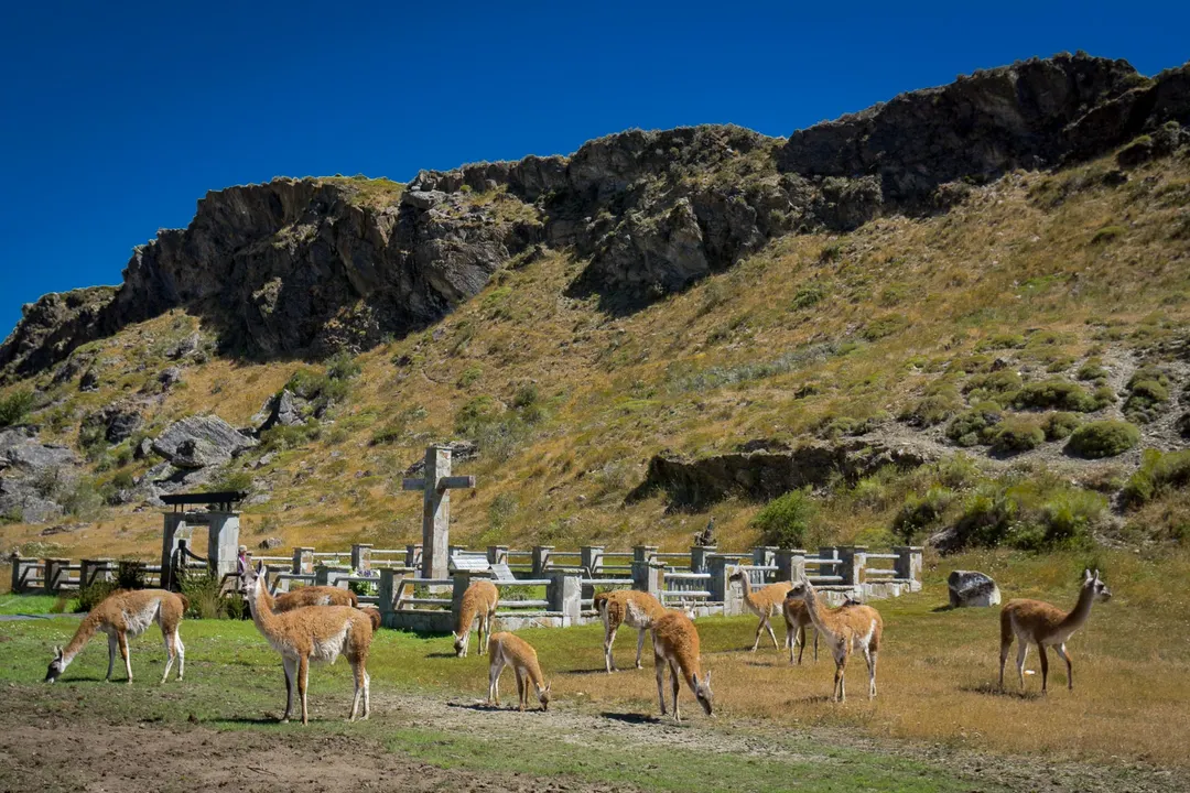 Disfruta de la fauna de estos lugares. 