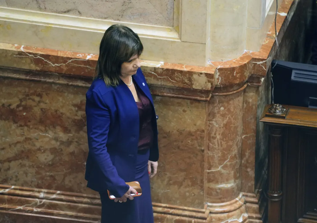 Patricia Bullrich en el Senado de la Nación.
