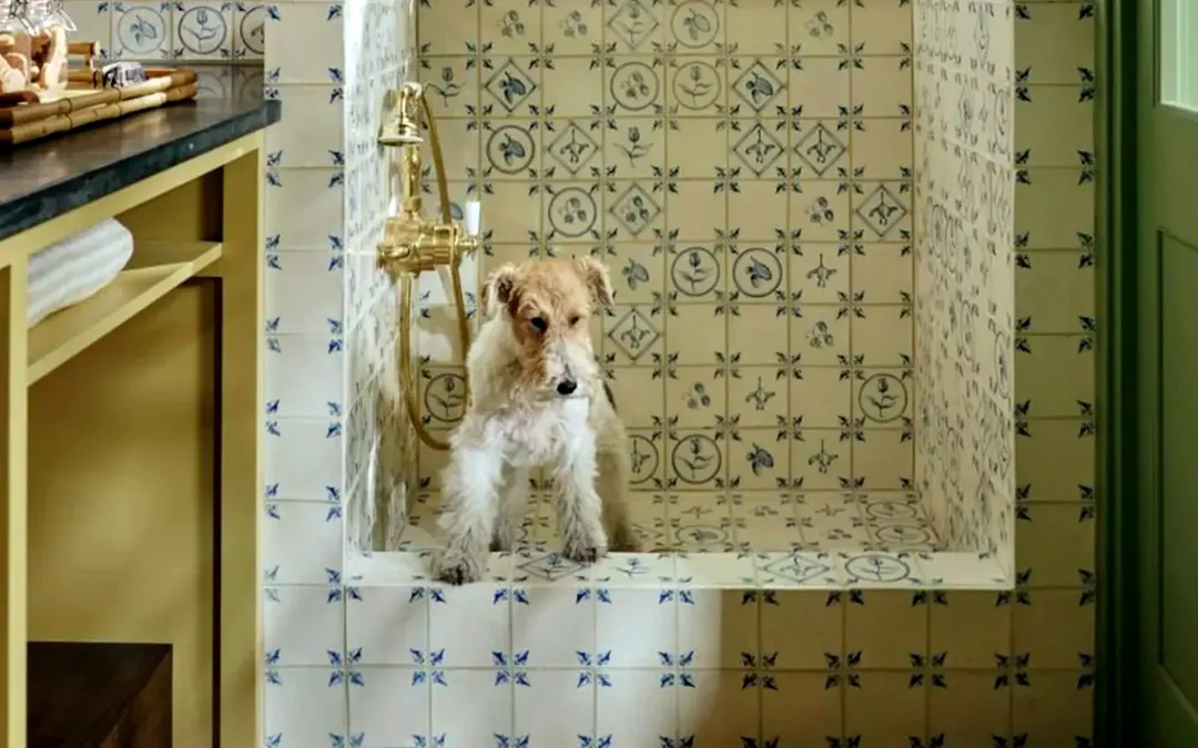 Una ducha  para perros facilita la limpieza después de los paseos y protege el resto de la casa.