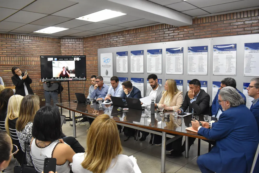 Debate legislativo sobre proyectos mineros en Mendoza. 