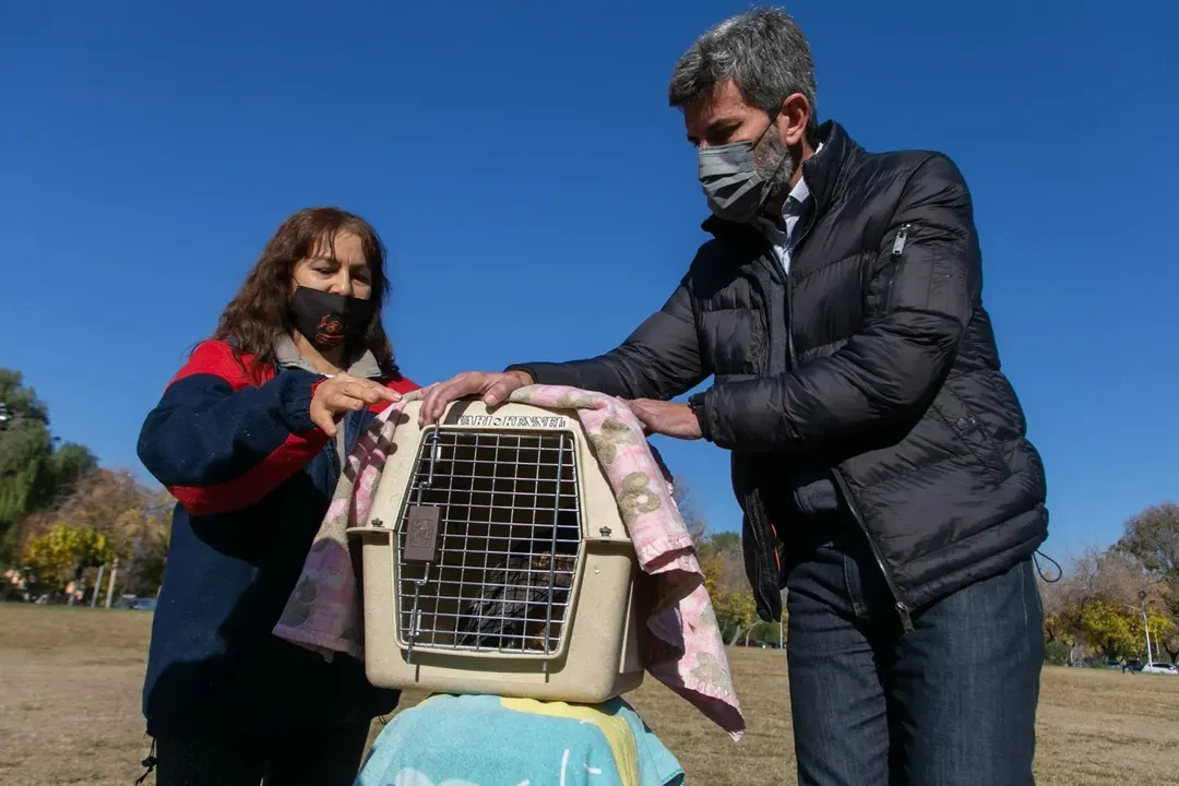 El intendente de la Ciudad estuvo presente en el operativo de liberación de gavilanes en el Parque Cívico en 2021. 