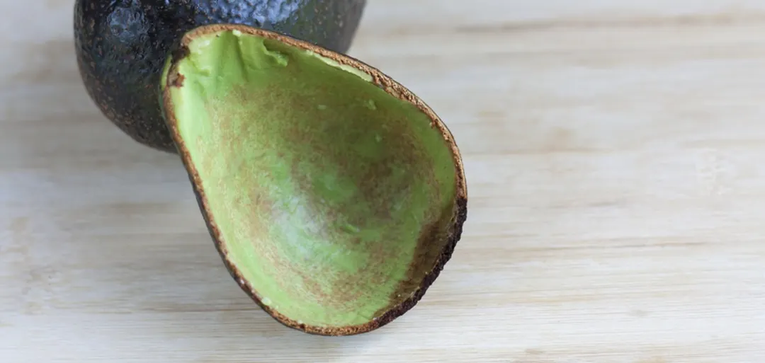 La cáscara de palta guarda decenas de propiedades y nutrientes que podemos aprovechar en el limonero. Foto: Shutterstock