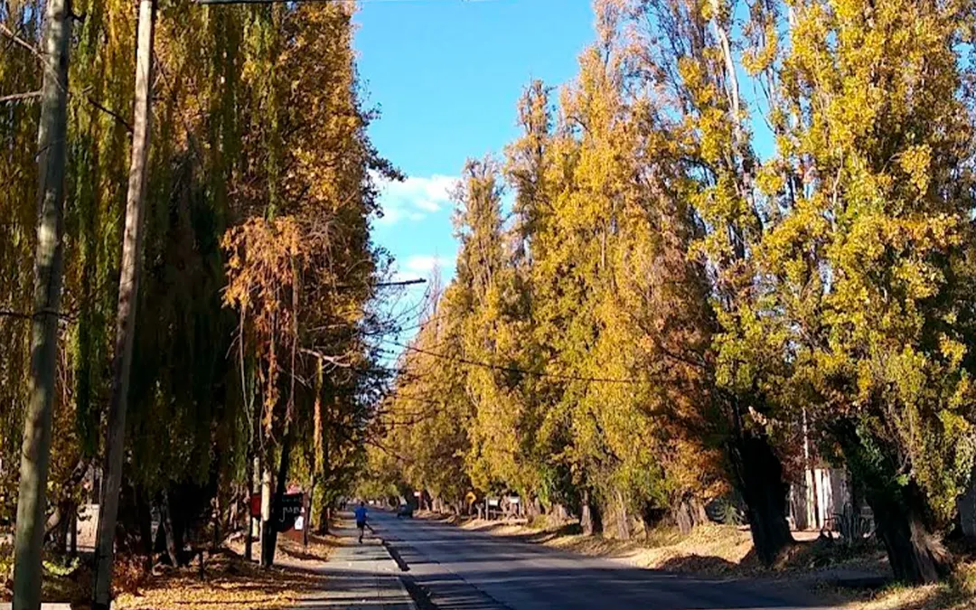 Imagen de la calle Guardia Vieja de Luján de Cuyo.
