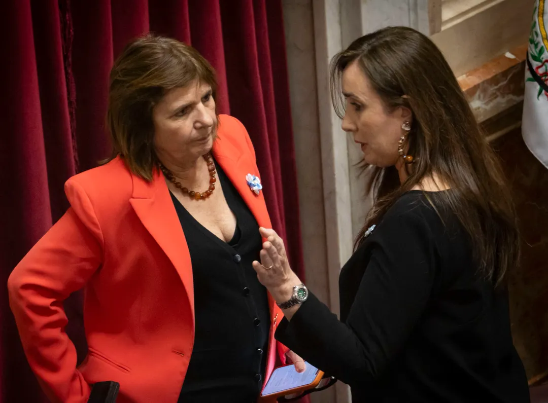 Bullrich y Villarruel se cruzaron fuerte en el chat del Senado.