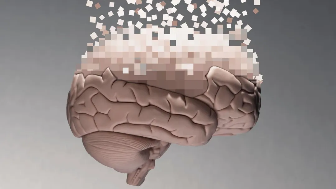 La neuroplasticidad esla organización selectiva de las conexiones entre neuronas de nuestro cerebro. 