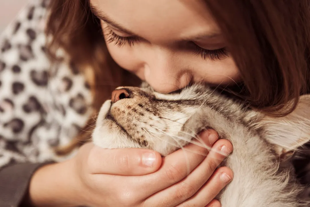 Este 4 de junio, publica en tus redes una foto con tu gato para incentivar a la adopción responsable.