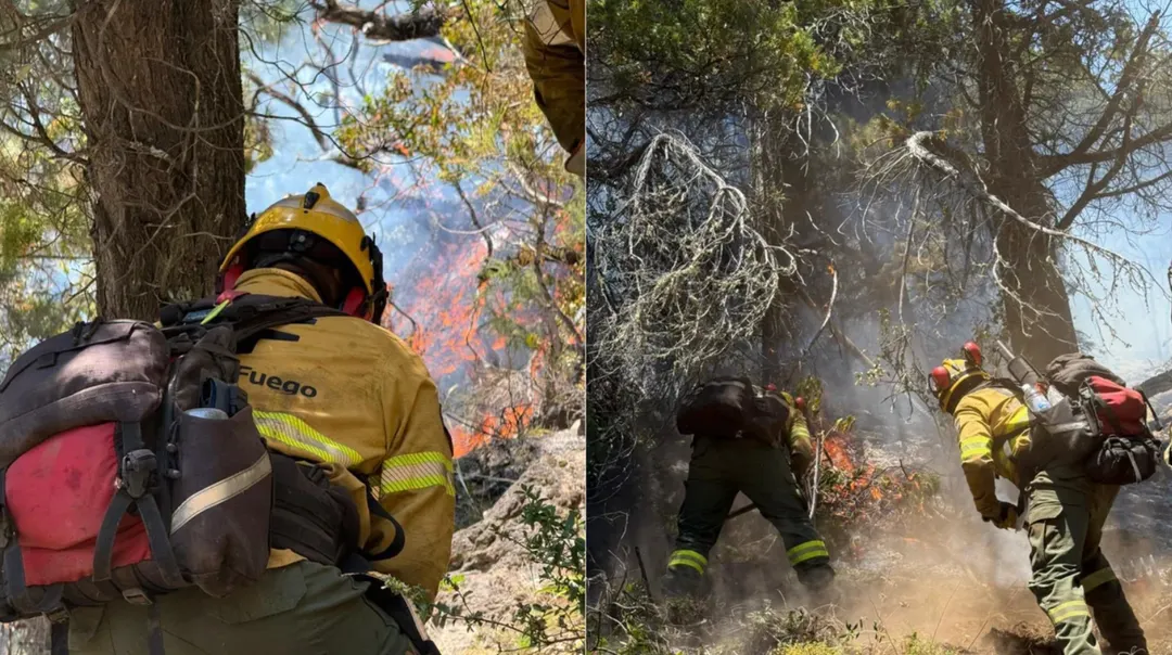 En medio de los incendios forestales en la Patagonia, el Gobierno Nacional envío más de 300 brigadistas para brindar asistencia.