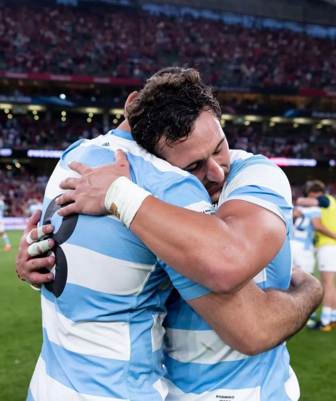 Los Pumas se preparan para afrontar la ventana de julio.