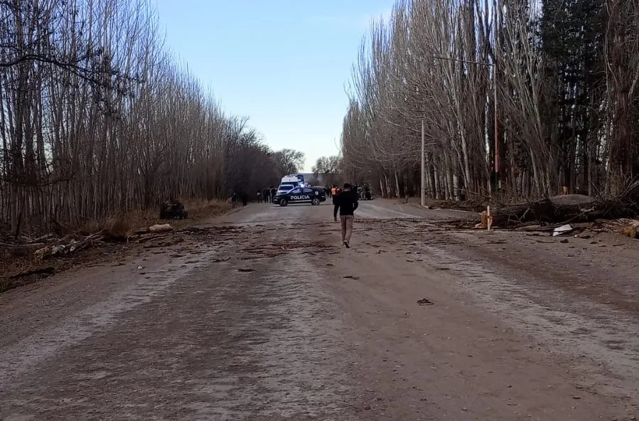 La tragedia de San Carlos reabrió el debate sobre los árboles peligrosos, mientras Mendoza estrena nuevas reglas para podar, erradicar y reponer ejemplares.  