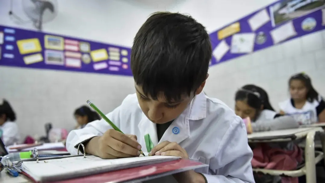¿Cuándo podemos afirmar que un estudiante comprende?