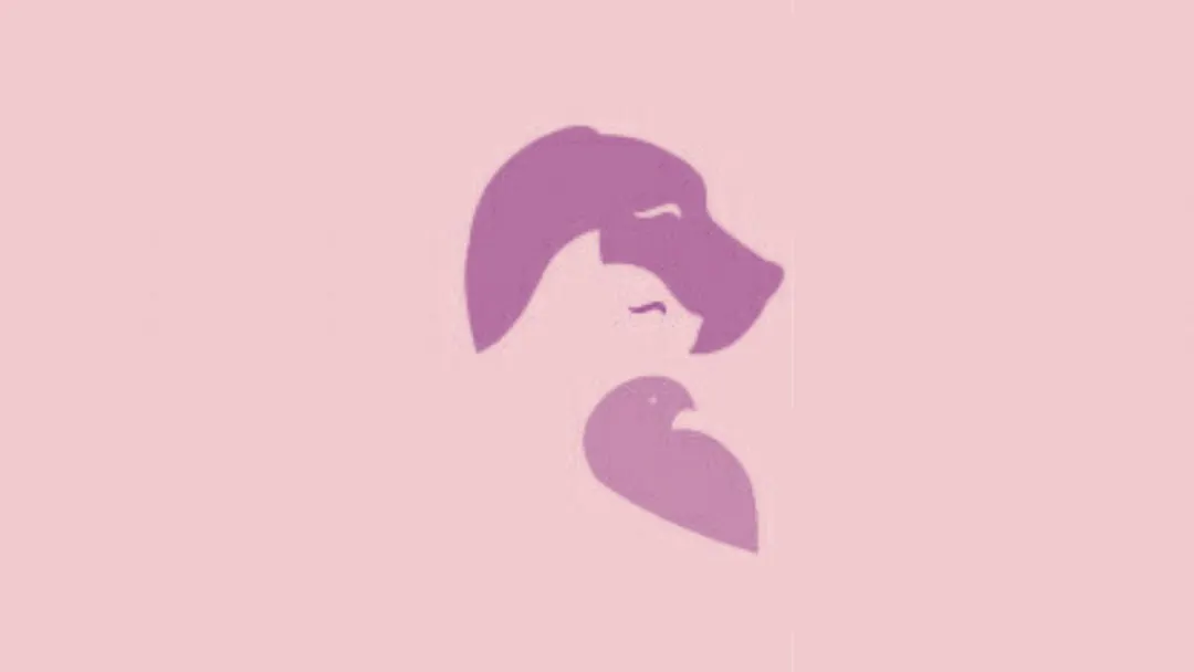 test de personalidad