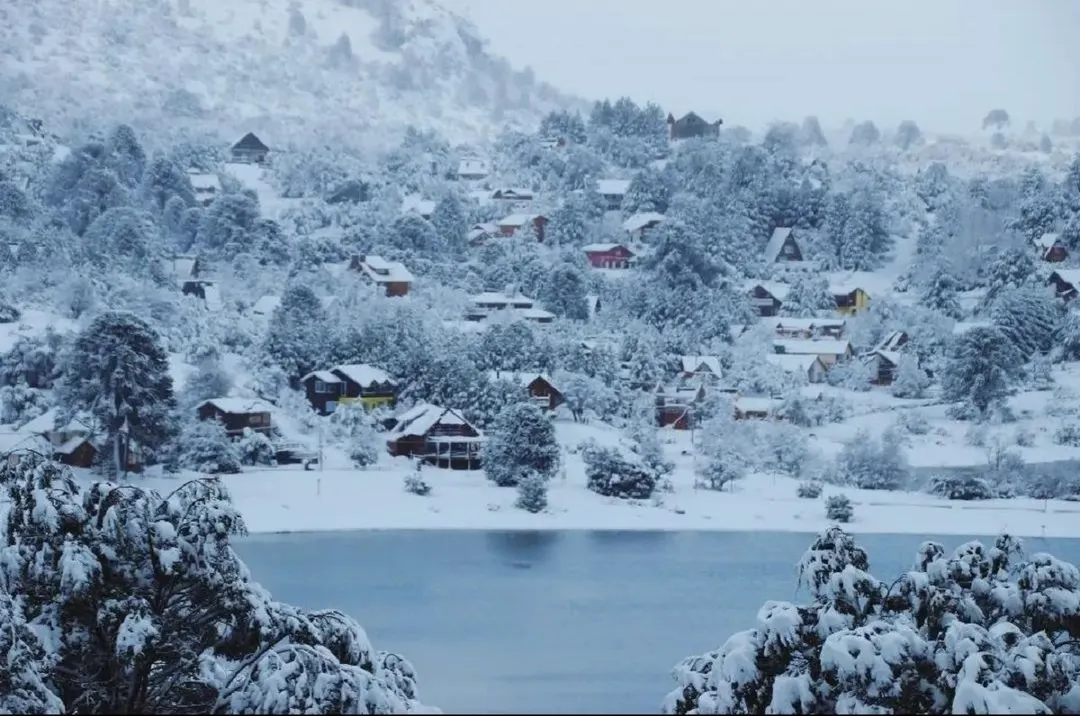 Los bosques de pehuenes cubiertos de blanco forman una de las postales más fuertes de este pueblo patagónico. Foto: IG @pela_pehuenia