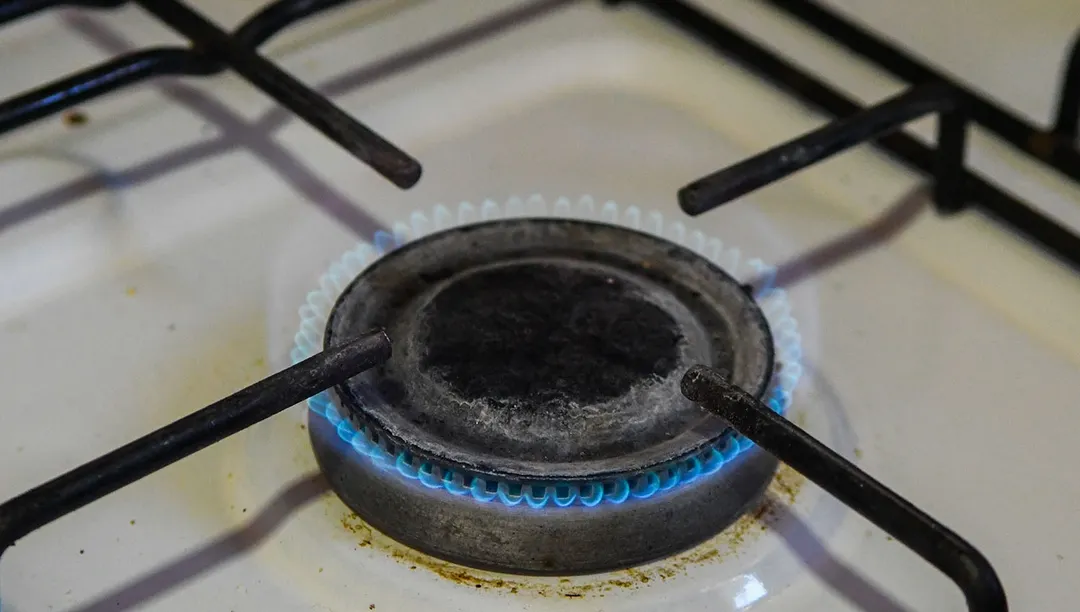 En esta nota te contamos cómo acceder a los subsidios de luz y gas.
