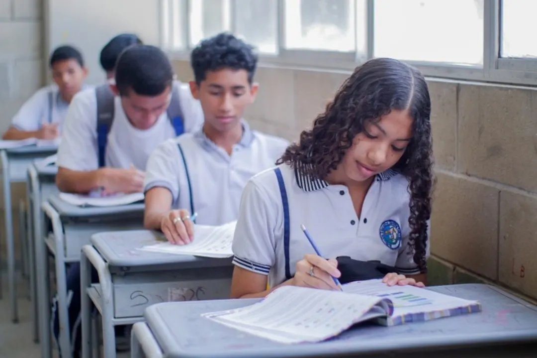 Una de las mayores críticas es el riesgo de que el sistema educativo comience a 