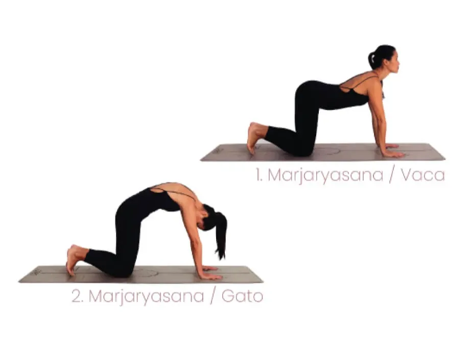 Esta es la postura de yoga que te ayudará a mejorar la tu flexibilidad y disminuir las molestias en la espalda. 