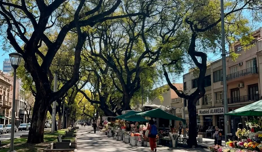 Puestos de flores. Todo el pase está atrasado por el canal Tajamar de manera subterránea, aunque en algunos techos puede verse.
