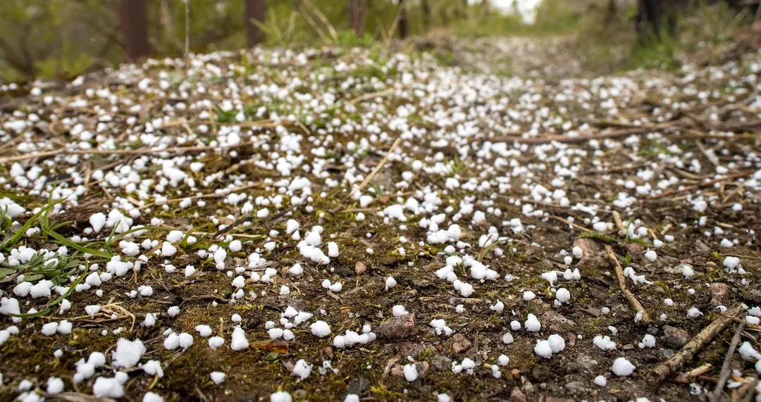 El graupel se forma a partir de pequeñas gotas de agua que, al encontrarse con temperaturas bajo cero dentro de las nubes, se adhieren a cristales de hielo.
