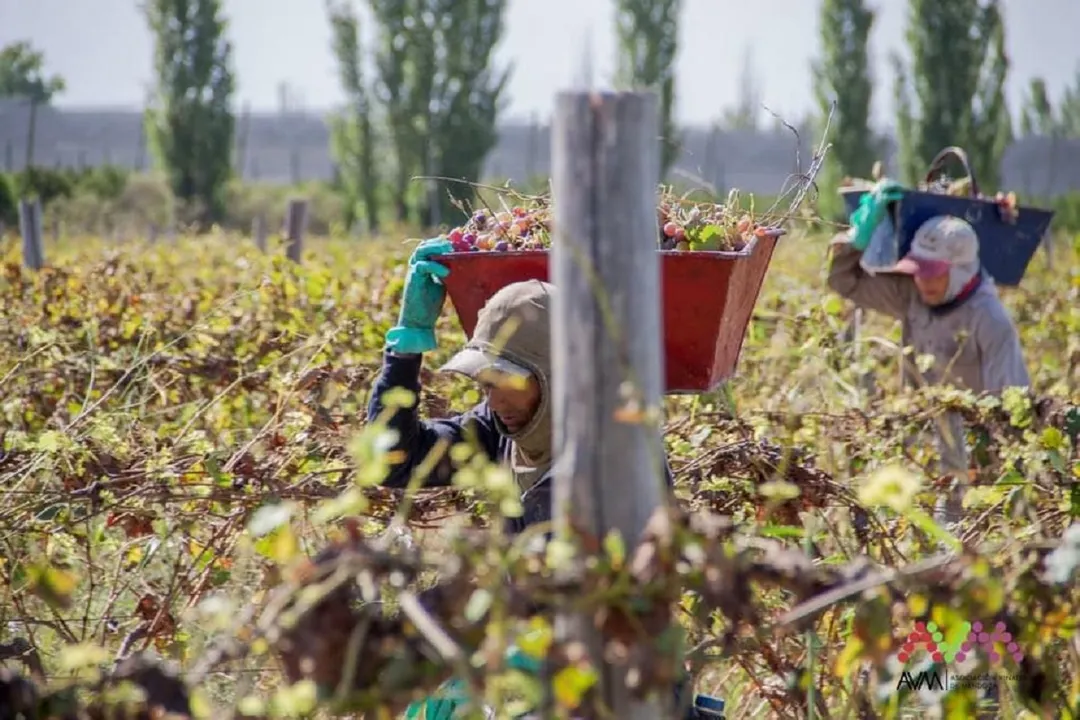 La propuesta apunta a brindar previsibilidad a las economías regionales y proteger los ingresos de las familias trabajadoras del campo.