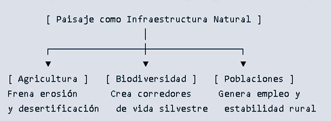 El concepto del paisaje como infraestructura natural es la base de las 