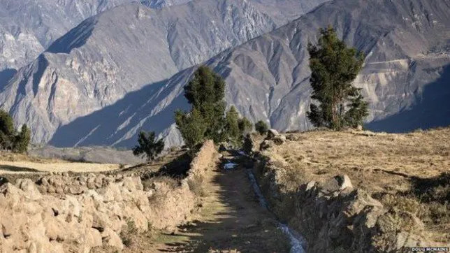 El Camino del Inca