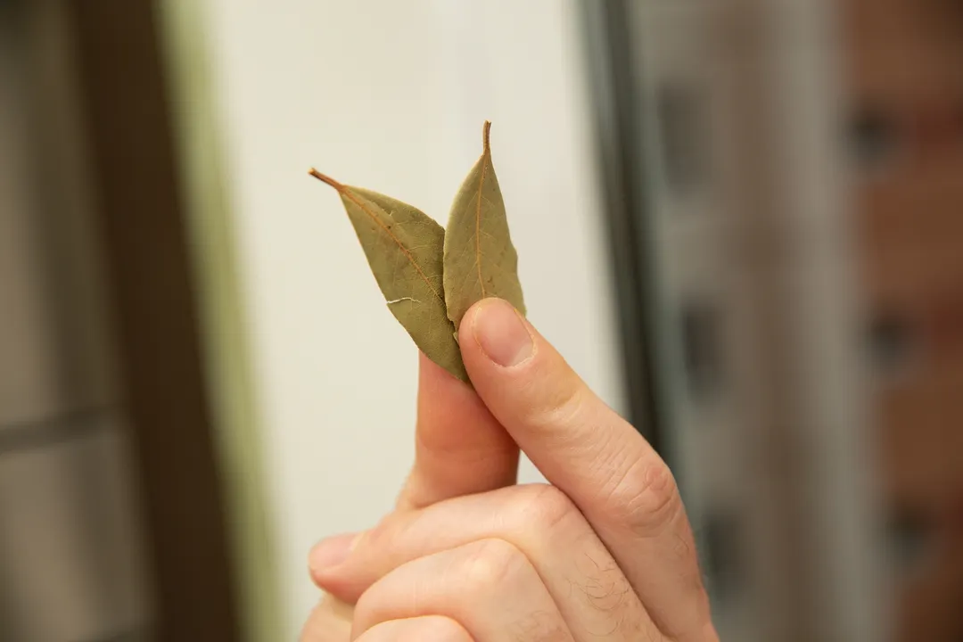 Los usos del laurel más allá de la cocina. oto: Freepik