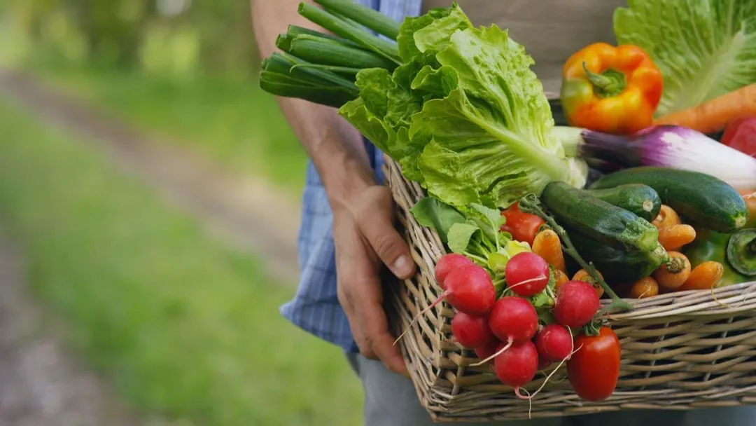 Junio es un buen momento para empezar a cultivar en casa. Foto: Shutterstock