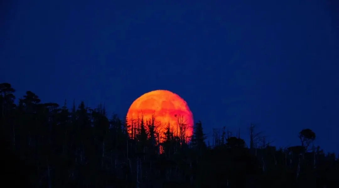 La última luna de sangre fue en 2022. Foto: Noticias Argentinas