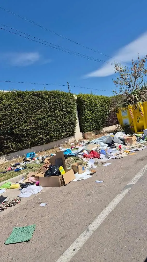 Pasé y miré: una lectora de MDZ compartió imágenes del contenedor ubicado en Lateral Sur de Paso y Terrada, Luján de Cuyo
