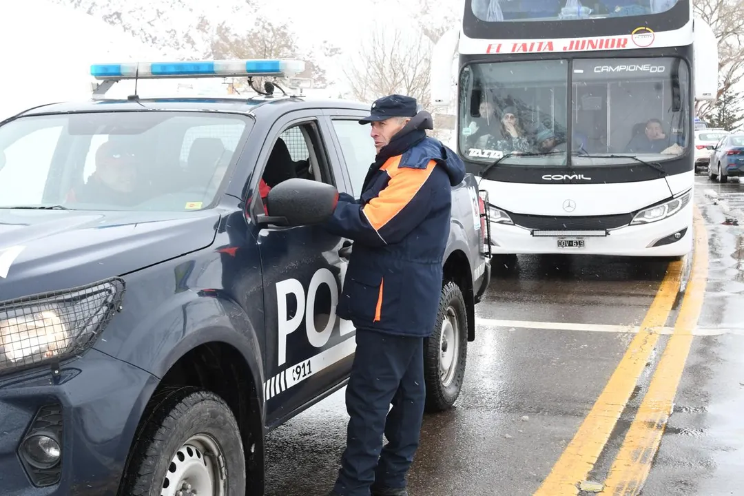 Policías, Gendarmería, Vialidad y otros organismos coordinan tareas en alta montaña