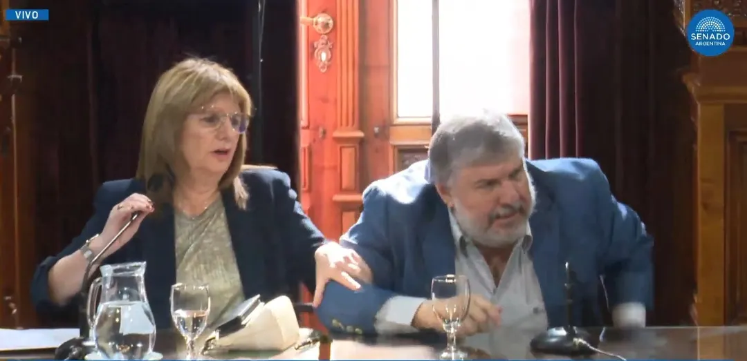 El cruce entre Bullrich y Mayans. Foto: Captura SenadoTV