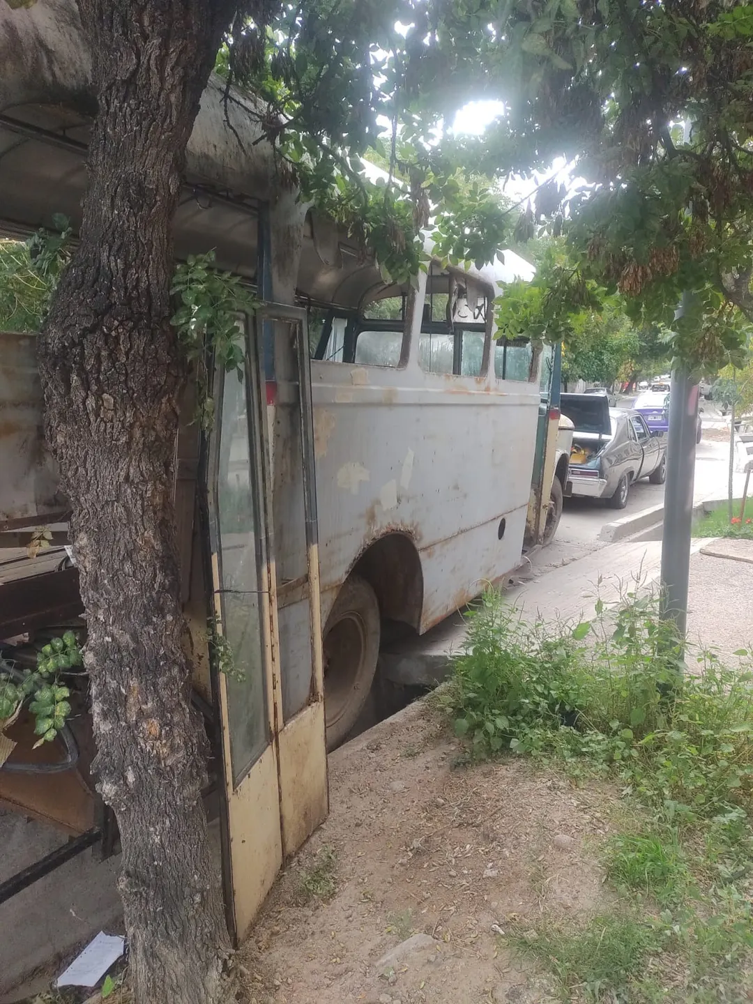 El micro estaba en desuso y se había convertido en un punto de reunión para delincuentes, afectando la seguridad y la convivencia.